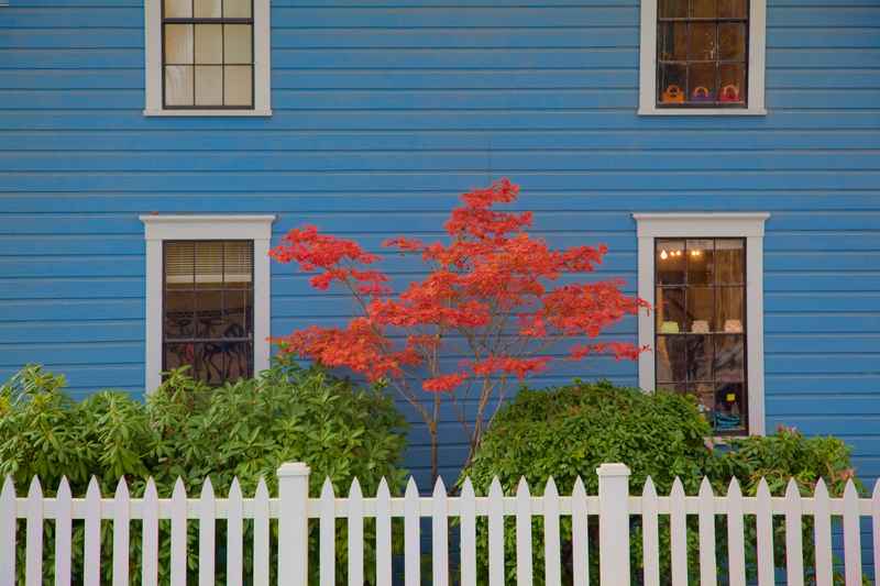 best siding color in cincinnati OH