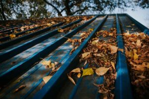 how fall affects roofs, fall roof maintenance